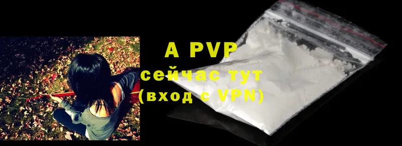 A PVP СК КРИС  Закаменск 